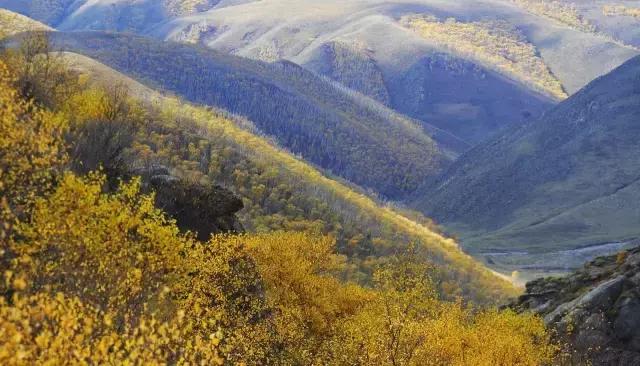 辉腾锡勒黄花沟风景,辉腾锡勒大草原黄花沟的美景