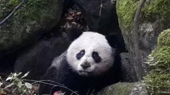 如果你来广元,我才不带你去剑门关嘞!