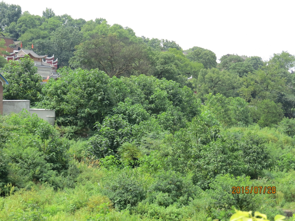 零陵文化古城寻找千年古迹,零陵古城简介