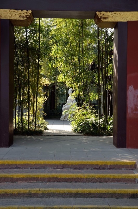 历史节目讲薛涛,薛涛传奇一生