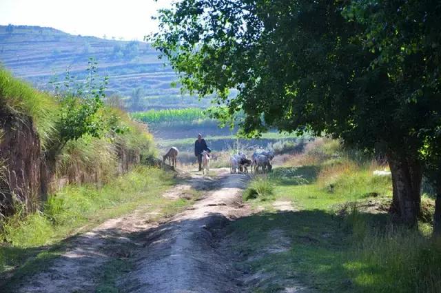 山沟沟里的风景最美,西北山沟沟景区