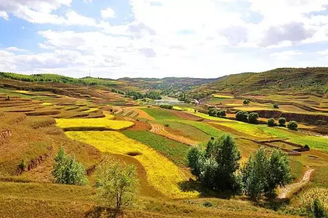 山沟沟里的风景最美,西北山沟沟景区