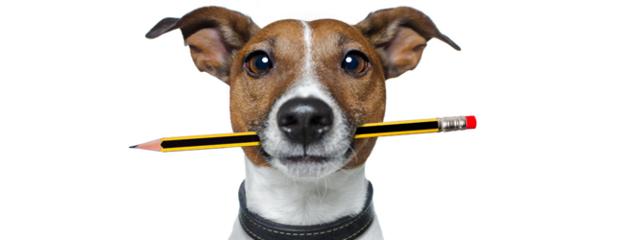 韩国利：你是如何确保你的文字是有销售力的？