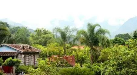 福建海边旅游推荐民宿,福建小木屋