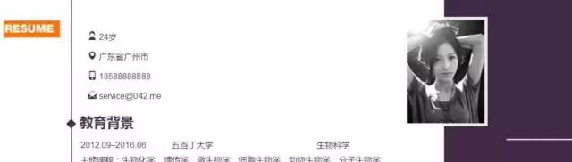 社招简历模板免费下载,招聘简历模板免费下载