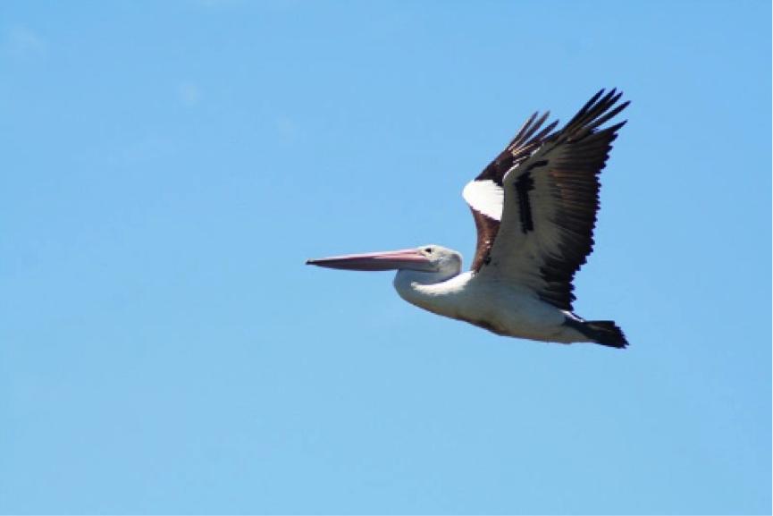 出国自驾游有哪些景点好,十一河北出发自驾游线路推荐