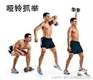 哑铃一周期训练计划表格,哑铃一周训练计划安排表在家