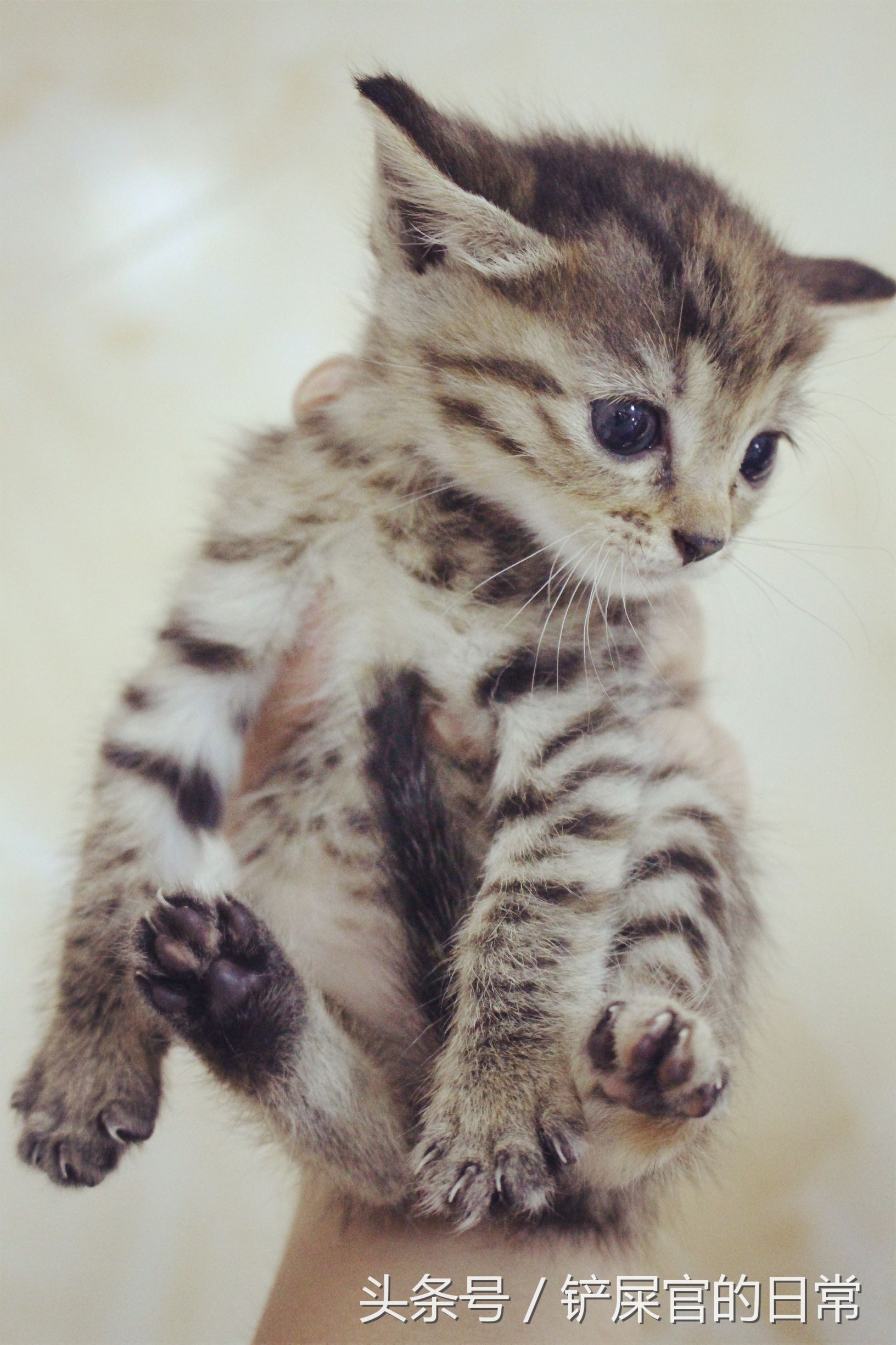 婊℃湀鐚挭鍊煎緱楂樺叴鐨勪簨,钀岀尗鍜垰婊℃湀