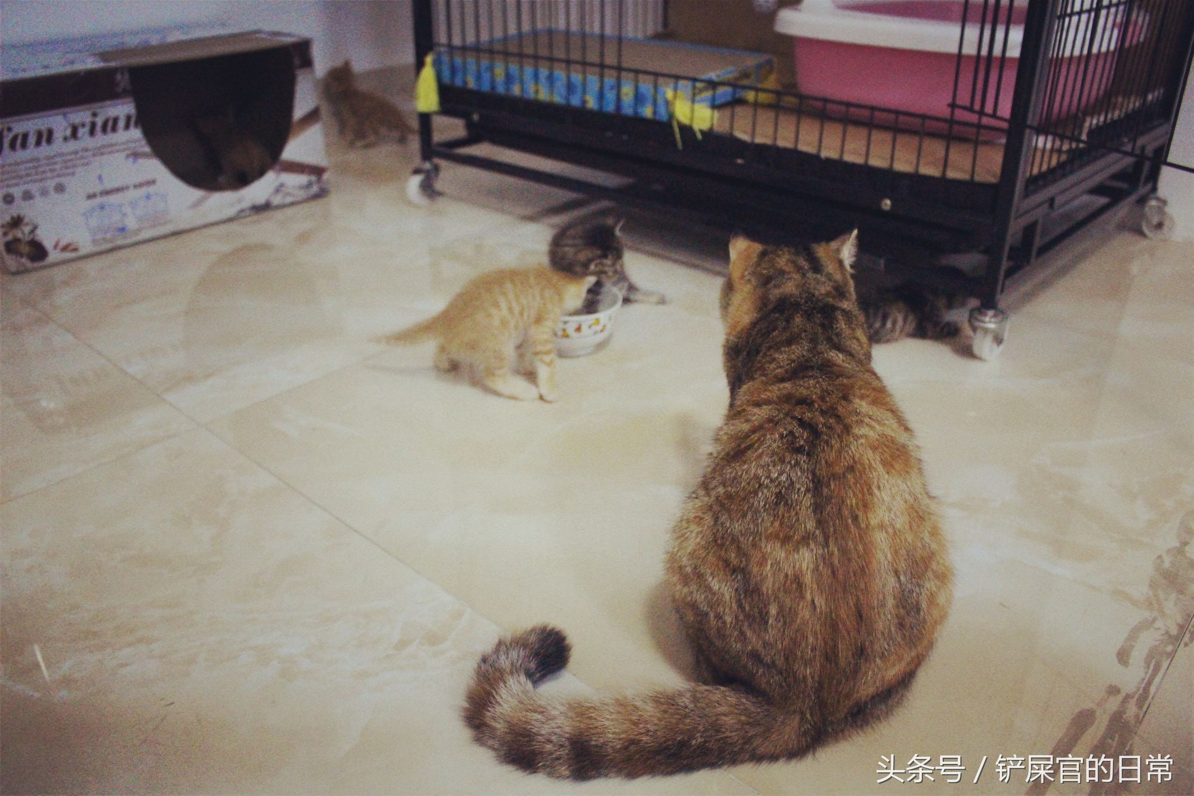 婊℃湀鐚挭鍊煎緱楂樺叴鐨勪簨,钀岀尗鍜垰婊℃湀