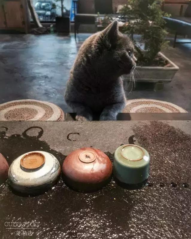 刘文龙纹身,中国古文字纹身图案手稿