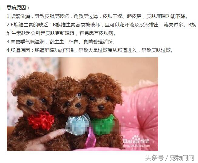 狗狗长满螨虫怎么治,宠物螨虫皮肤病用什么药