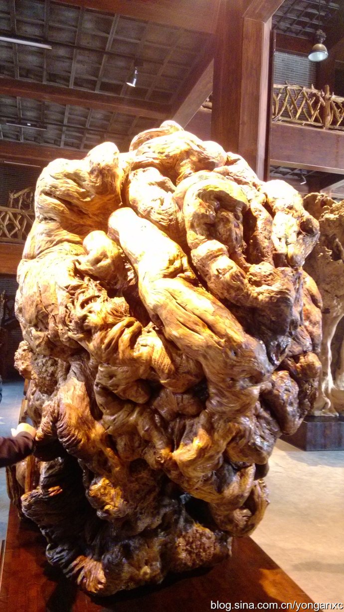 开化根宫佛国免费游玩,衢州开化佛国视频