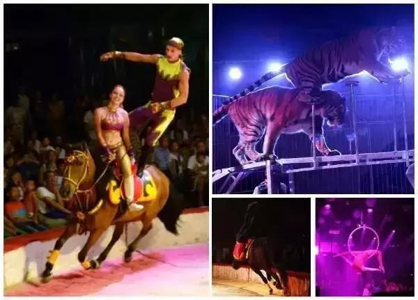 天津亲子国庆,六一天津亲子游