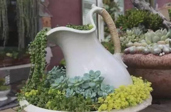 修补花盆的基本方法,怎么修补陶瓷花盆简单