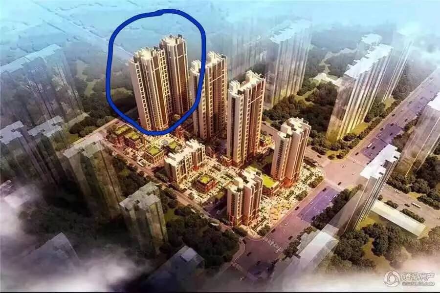 清楚这九点，选金科天籁城or万科金域名城不纠结！