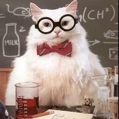 瞬间笑喷的爆囧奇葩,男人这种生物到底有没有情商啊!