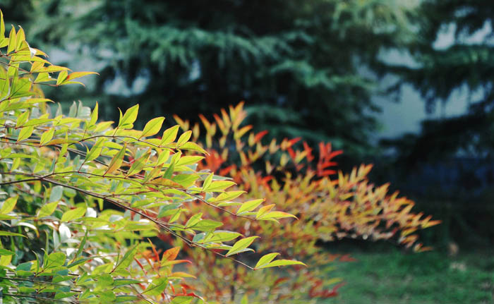 ps调色中式婚纱照,2022ps婚纱外景调色教程