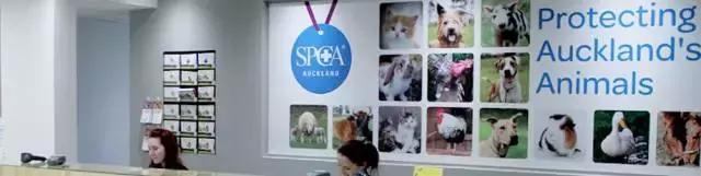 新西兰对动物都很友好吗,新西兰对待动物