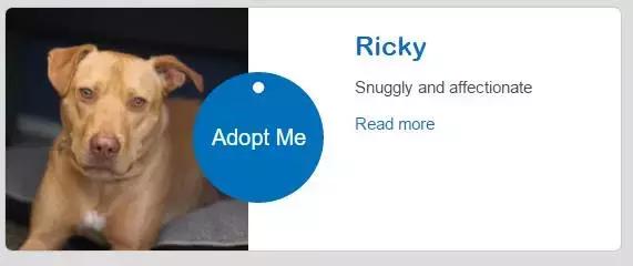 新西兰对动物都很友好吗,新西兰对待动物