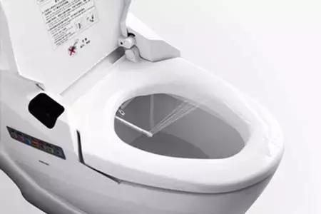 去日本买一个马桶盖,还有卖日本马桶盖的吗