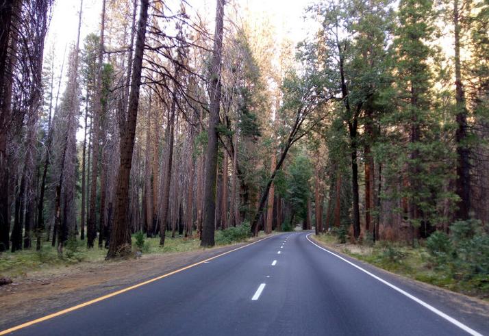 美国优胜国家森林公园,美国优胜美地国家森林公园风光