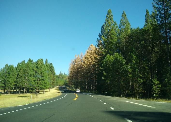 美国优胜国家森林公园,美国优胜美地国家森林公园风光