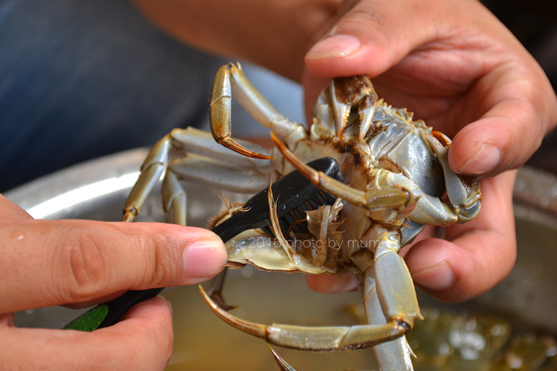 螃蟹要怎么清洗才干净,螃蟹如何清洗干净又好吃