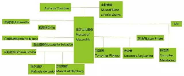 一篇文章带你了解葡萄酒文化,一篇带你了解天珠图腾的密码