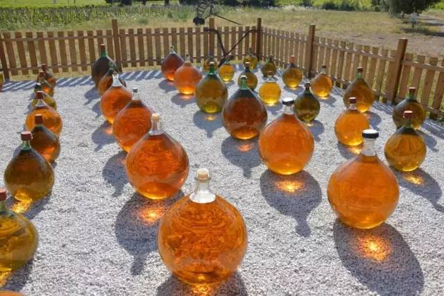 一篇文章带你了解葡萄酒文化,一篇带你了解天珠图腾的密码