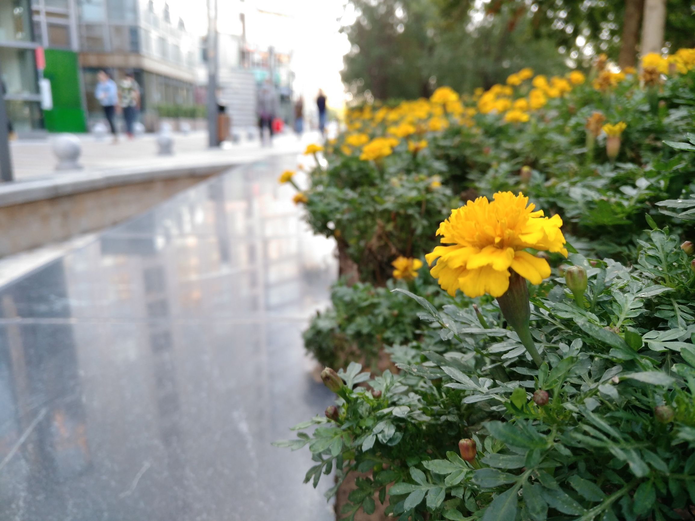 乐pro3双摄ai评测,乐3pro参数