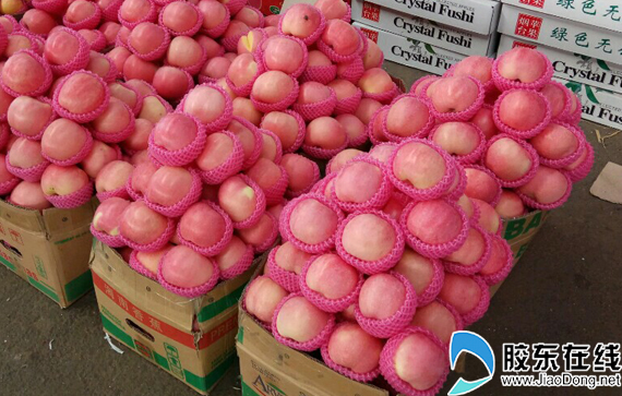 山东烟台红富士苹果脆甜现摘现发,烟台苹果又脆又甜红富士