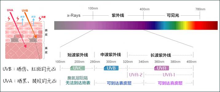 澳洲防晒产品推荐 (澳洲防晒品牌有哪些)