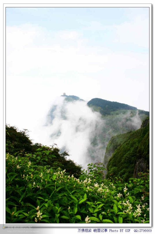 万佛寺的来历,峨眉山寺庙历史简介