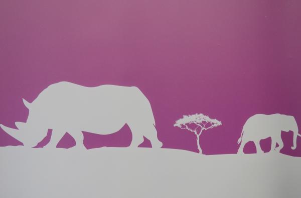 公益报道​|从肯尼亚山脉的草药到越南丛林的穿山甲