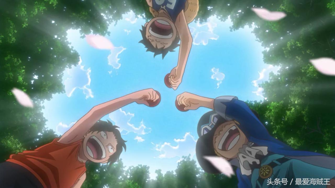 喜欢艾斯的是谁,喜欢艾斯的都是什么样的人