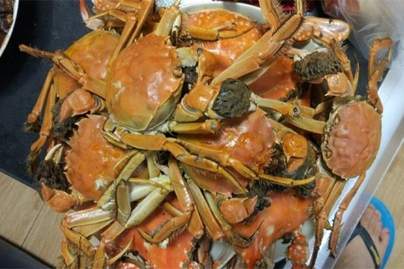 鱼塘钓鲫鱼最佳方法,鱼塘钓鲫鱼用什么饵料