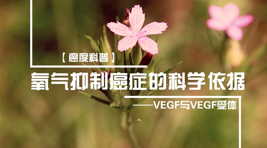 vegf是治疗肿瘤的药吗,肿瘤患者vegf检测参考值