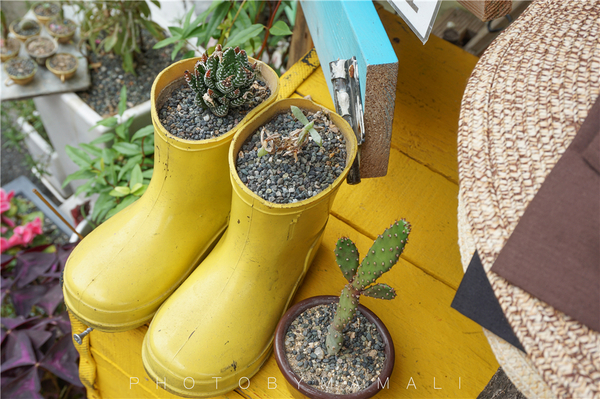 首尔游购胜地新罗爱宝客免税店,韩国首尔新罗免税店地址