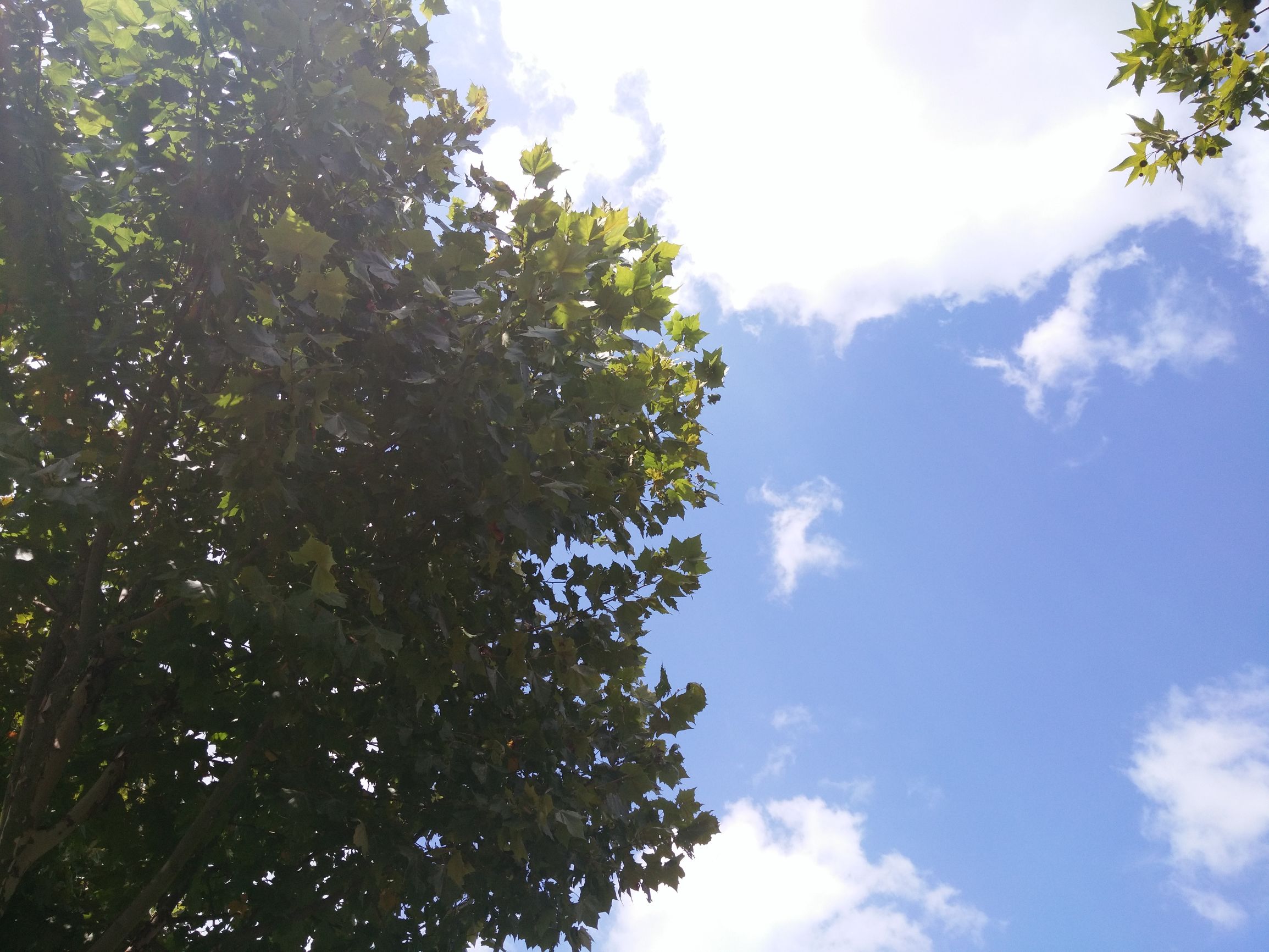 芜湖的蓝天,芜湖的天空