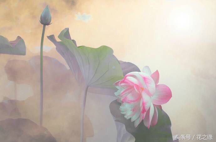 有心跳的生活,美景尽在眼下