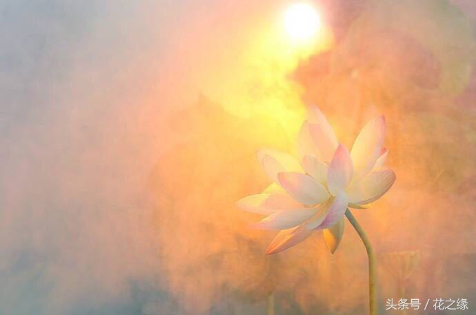 有心跳的生活,美景尽在眼下