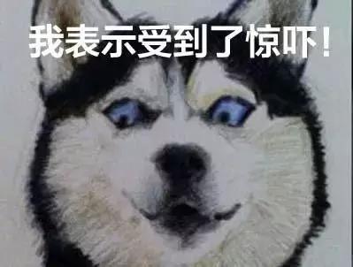 tank007紫光手电有什么作用 (tank007有紫外线手电吗)