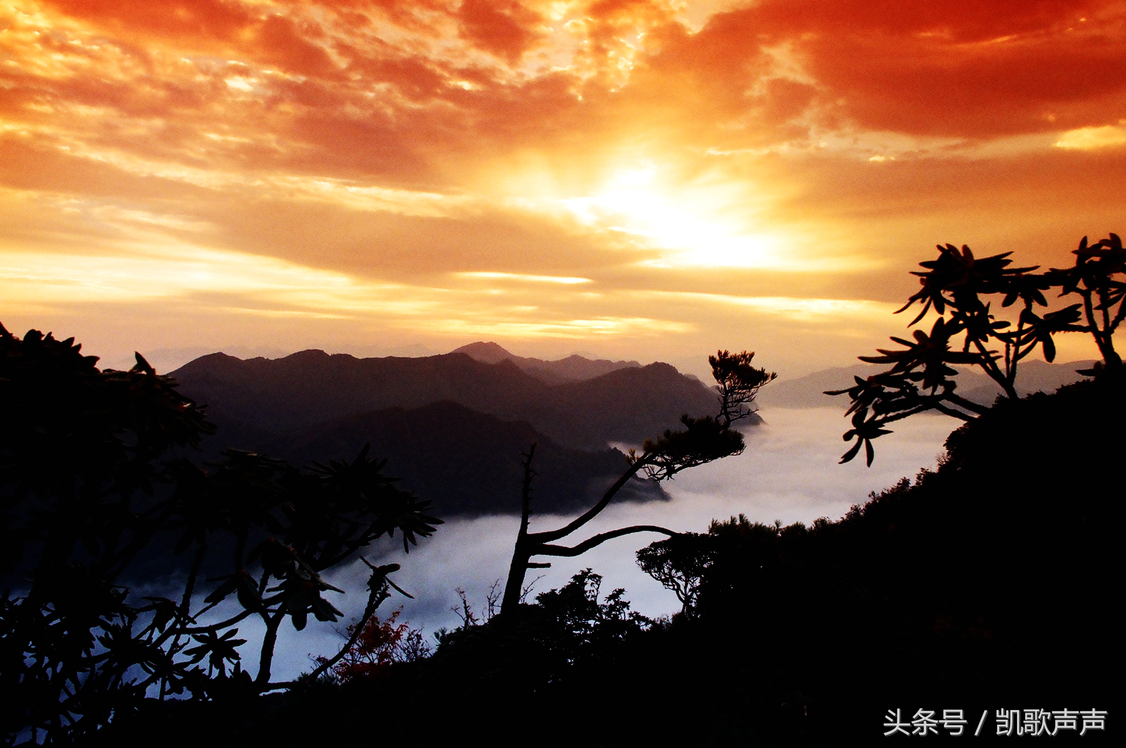 四川的葬礼的风俗,四川丧葬风俗仪式