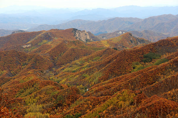北京怀柔的原始森林,喇叭沟门原始森林公园旅游攻略