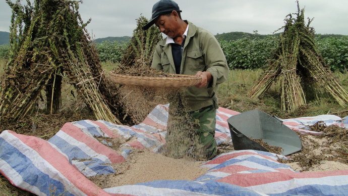 农民为啥不花钱,农民为什么不挣钱