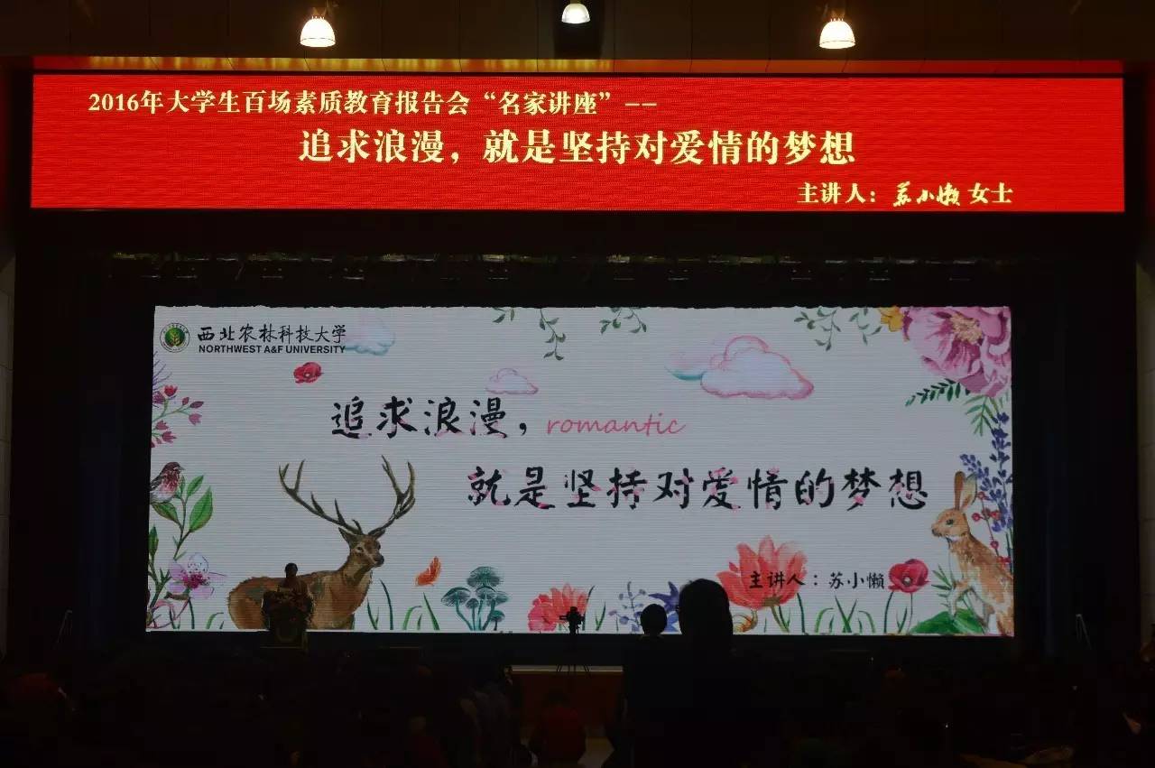 苏小懒原创书,苏小懒在线免费阅读