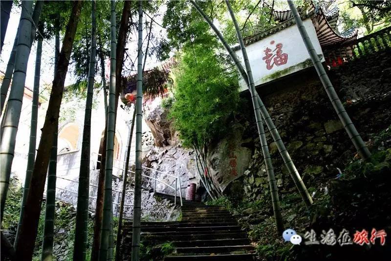 乐清杨八洞风景区,天下第九洞天一日游