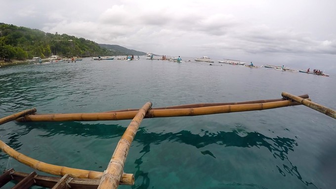 菲律宾潜水攻略 (菲律宾潜水游记)