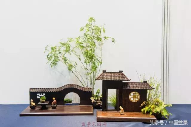 哪些野草适合微型盆景,小品盆景和微型盆景有区别吗