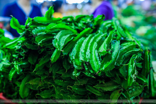 带着婚纱旅行攻略,带着婚纱去旅行拍照